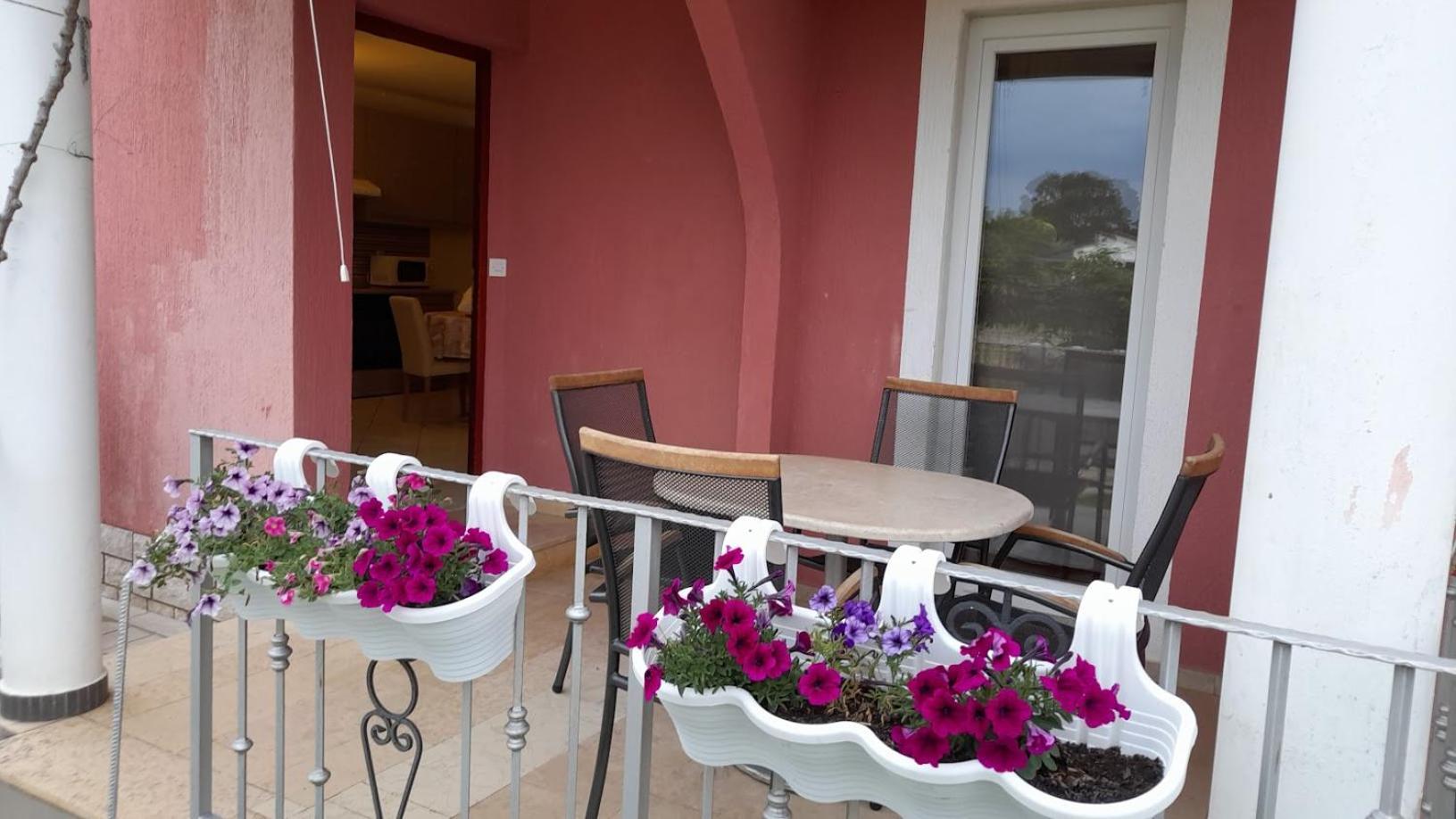 Apartments Dragica Poreč Eksteriør billede