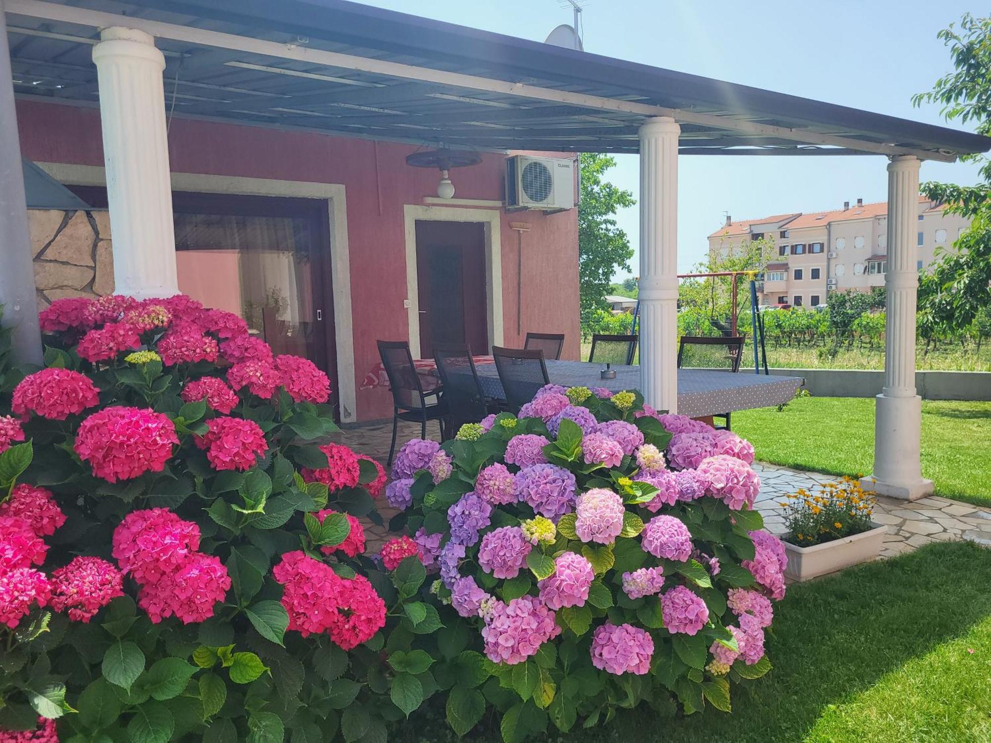 Apartments Dragica Poreč Eksteriør billede