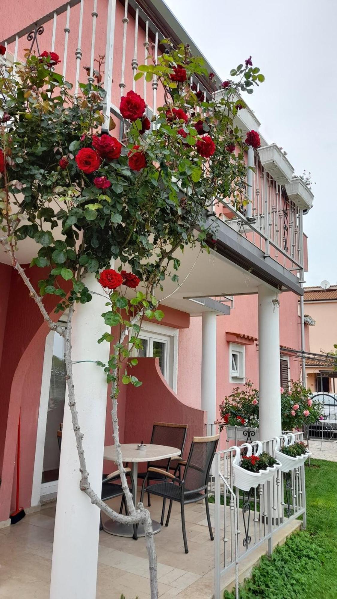Apartments Dragica Poreč Eksteriør billede