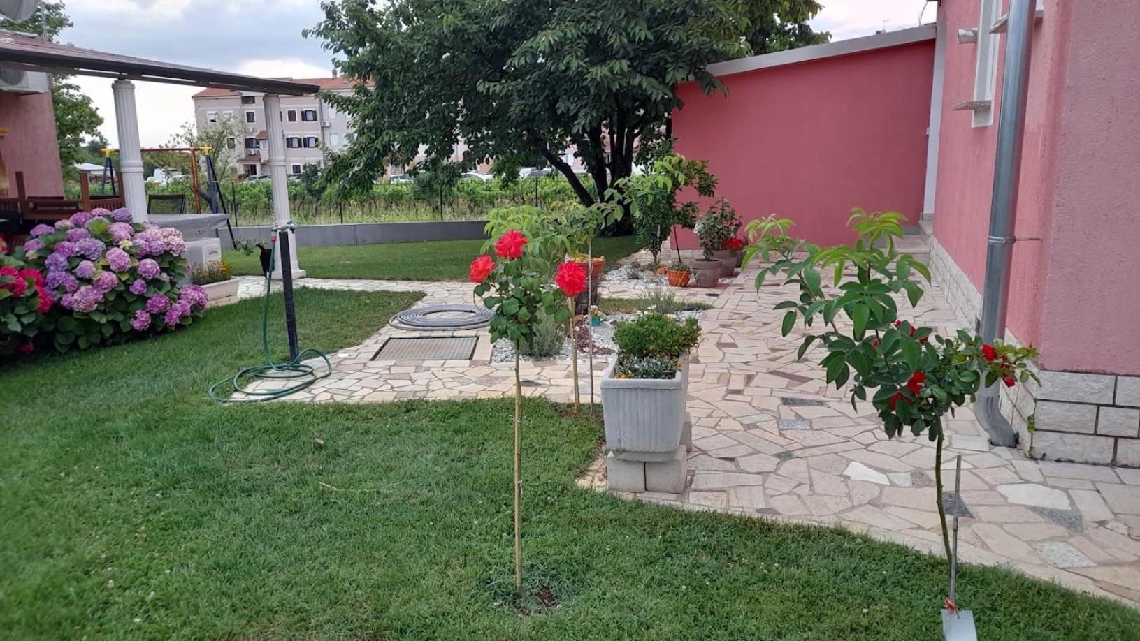 Apartments Dragica Poreč Eksteriør billede
