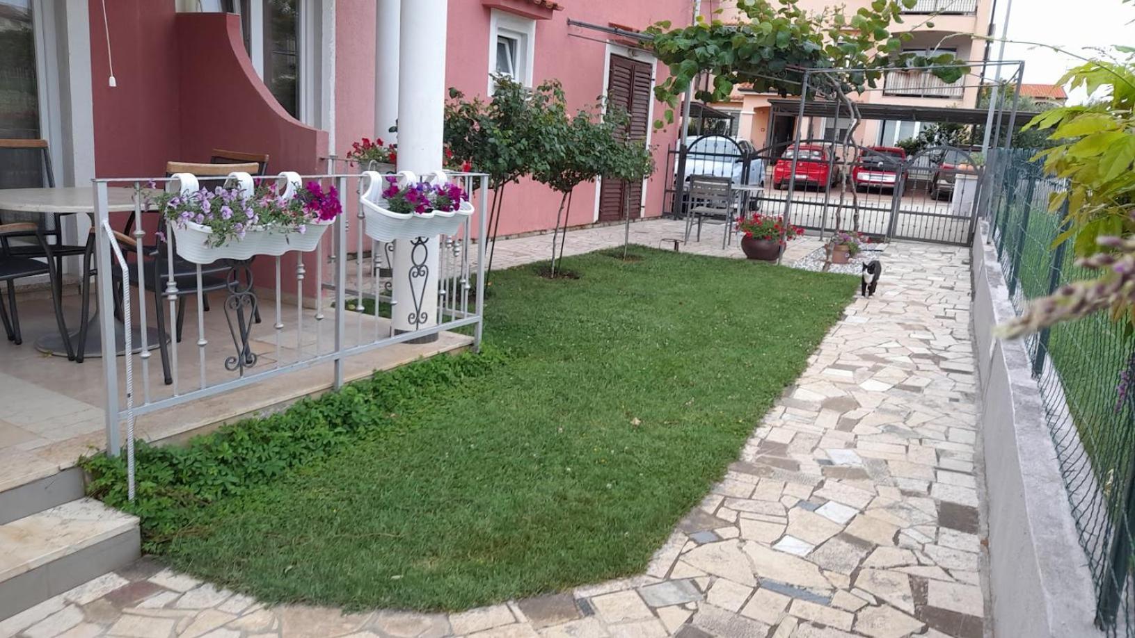 Apartments Dragica Poreč Eksteriør billede